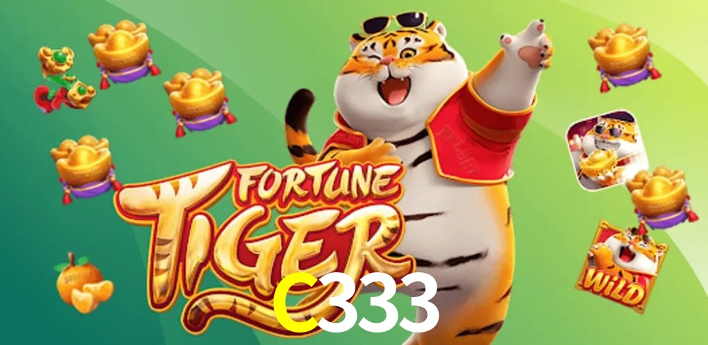 Bonus Features C333